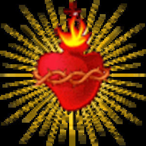 Meet your Posher, Jansen jackson